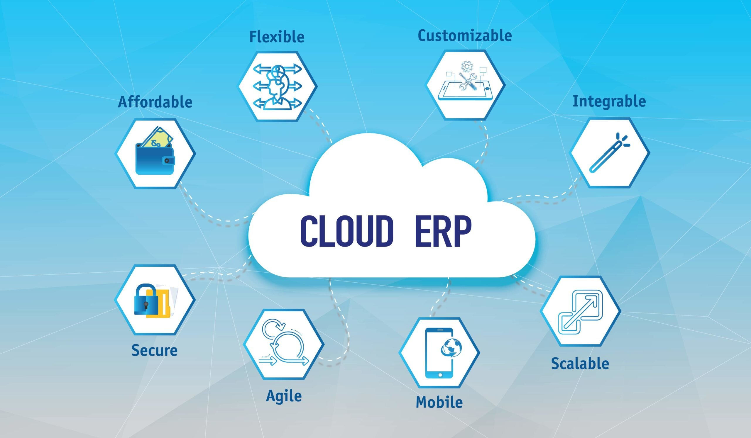 Cloud Erp Wholesale Distribution